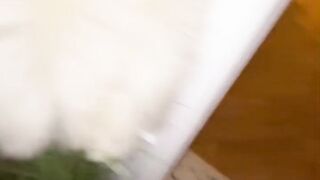 I get excited when my ROOMATE comes in with his cock out