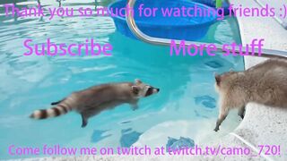 TWITCH FUNNY MOMENTS