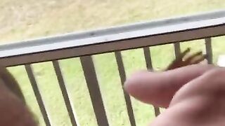 Dirty Dannybear - Wife Fucking on Marriot Balcony in Florida Verified Amateur