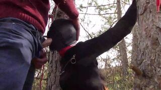 Tied to a tree, masked and outdoor deepthroat with no mercy