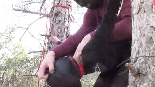 Tied up to a tree outdoor on sexy clothes and hard fucked