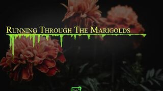 Running Through the Marigolds (Official Music Video).