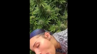 HoneyBunnz sucks dick in weed farm