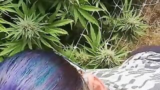 HoneyBunnz sucks dick in weed farm