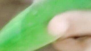 Tamil Hot Bhabhi sex with Green cucumber - huge cum out