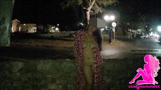 Naked in Public Park in the Night