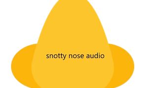 snotty nose audio